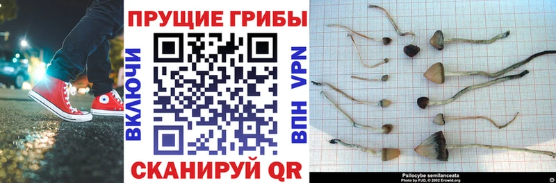 Галлюциногенные грибы ЛСД  как найти   Каменск-Уральский 